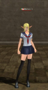 リネージュ2のシーレン高校制服・表面